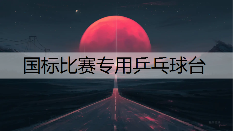 国标比赛专用乒乓球台
