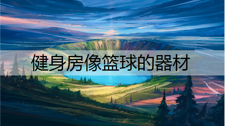 健身房像篮球的器材