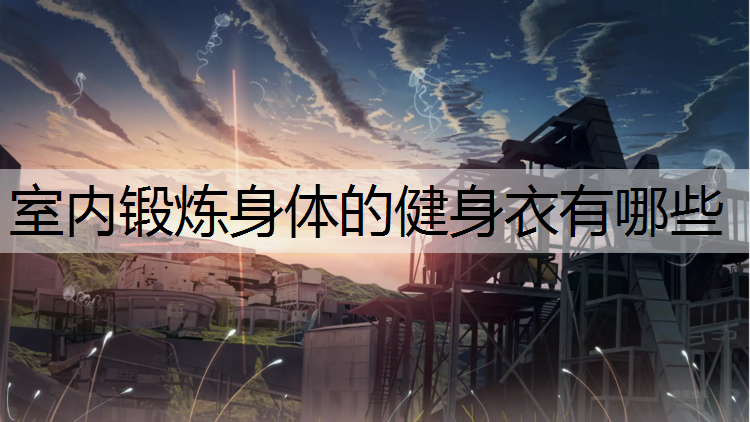 室内锻炼身体的健身衣有哪些