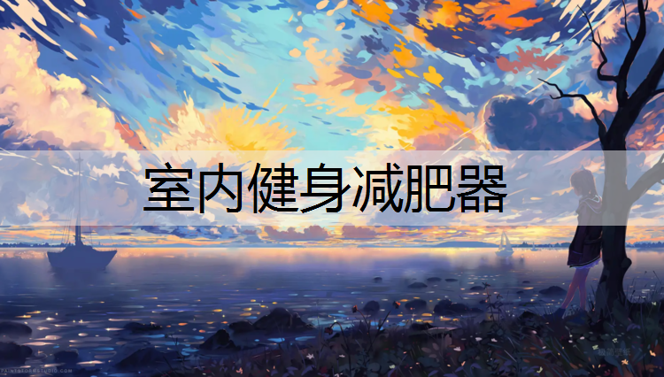 室内健身减肥器