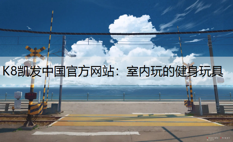 室内玩的健身玩具