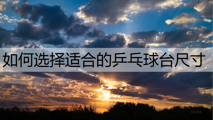 如何选择适合的乒乓球台尺寸