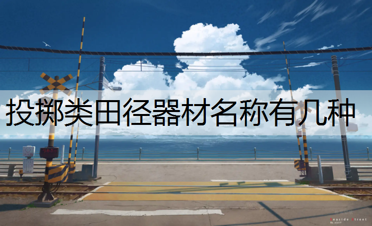 投掷类田径器材名称有几种