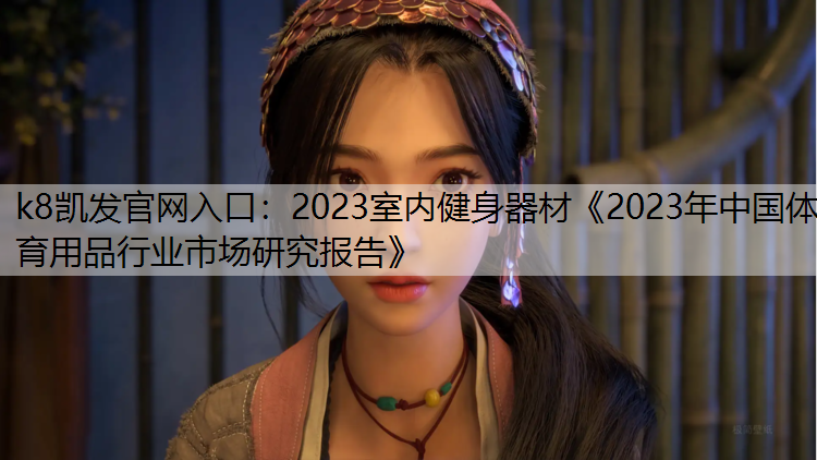 2023室内健身器材《2023年中国体育用品行业市场研究报告》