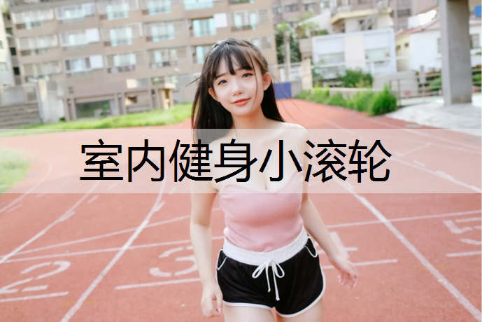 室内健身小滚轮